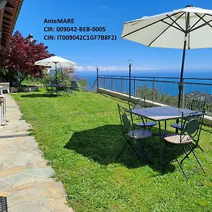  Couette-café Antemare